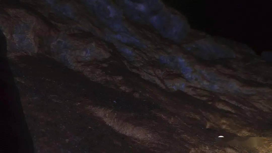 巧虎踢足球2